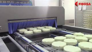 Producción de Queso Brie y Camembert