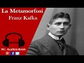 Resumen - La Metamorfosis - Franz Kafka - audiolibros cortos