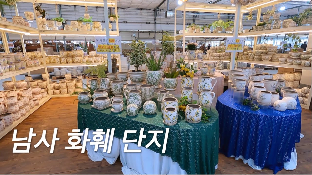 2024.08 남사화훼단지 투어ㅣ 예삐 ㅣ 에르베 ㅣ 희귀식물 l 다양한식물매장들