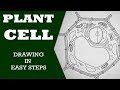 How to draw #plant cell in easy steps :fundamental unit of life: ncert class 9 biology :CBSE Science