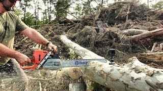 You're gonna love this!Testing THE BEAST! 572XP Pro Chainsaw!