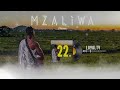 DRIEMO - LOYALTY (official audio visualizer)#mzaliwa #malawi #zambia #afrobeat