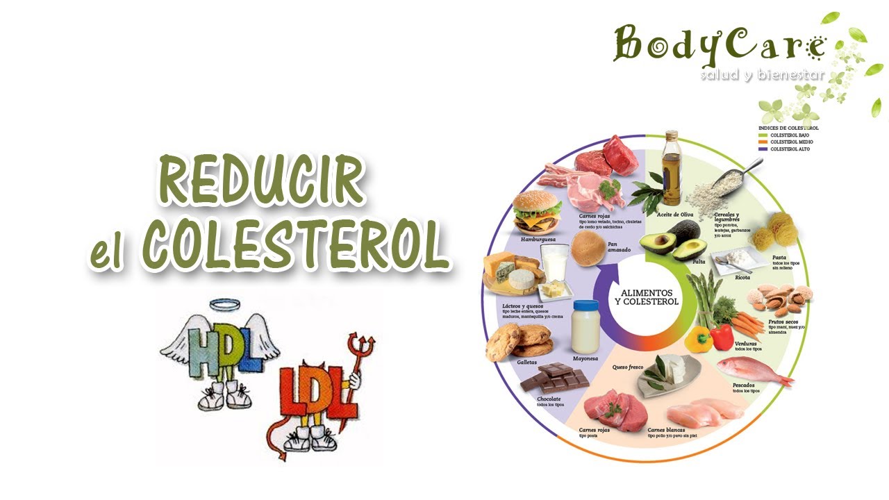 Alimentos sin colesterol