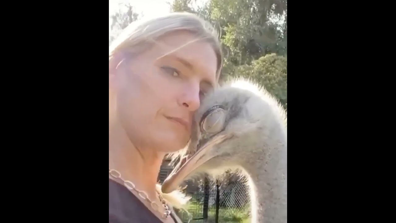 the smart Otris with her friend.