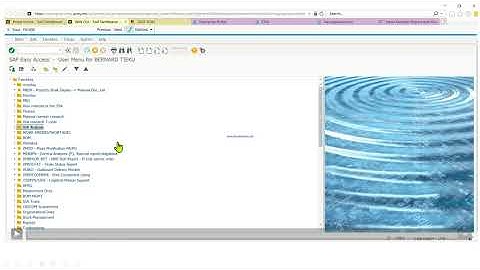 GCSS ARMY - How to view financial Report