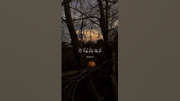 سورة الإخلاص.. ماهر المعيقلي 🤍.