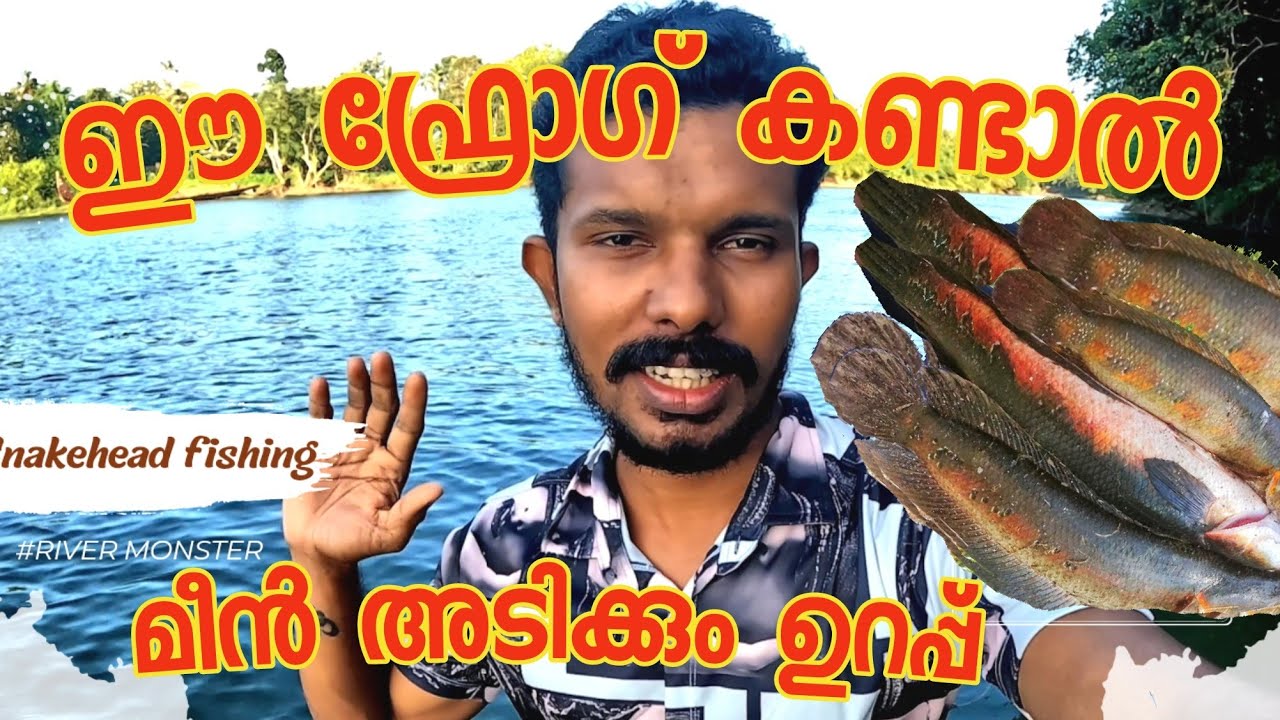 ഇവന്മാരെ പിടിക്കാൻ ഈ ലുർ മതി Snakehead fishing video ,cherumeen