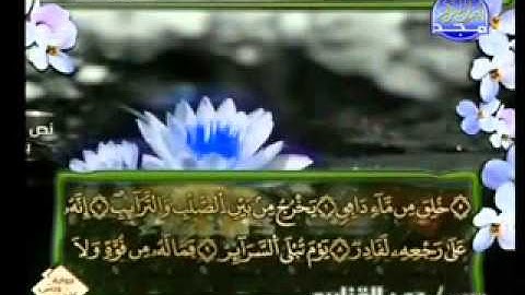 سورة الطارق الشيخ عمر القزابري