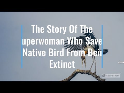 The Story Of The Superwoman Who Saved A Native Bird From Being Extinct