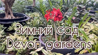 видео: Февраль, -27, идем на прогулку в зимний сад Девониан Гарденс. Devonian gardens Calgary, February -27 картинка: Февраль, -27, идем на прогулку в зимний сад Девониан Гарденс. Devonian gardens Calgary, February -27