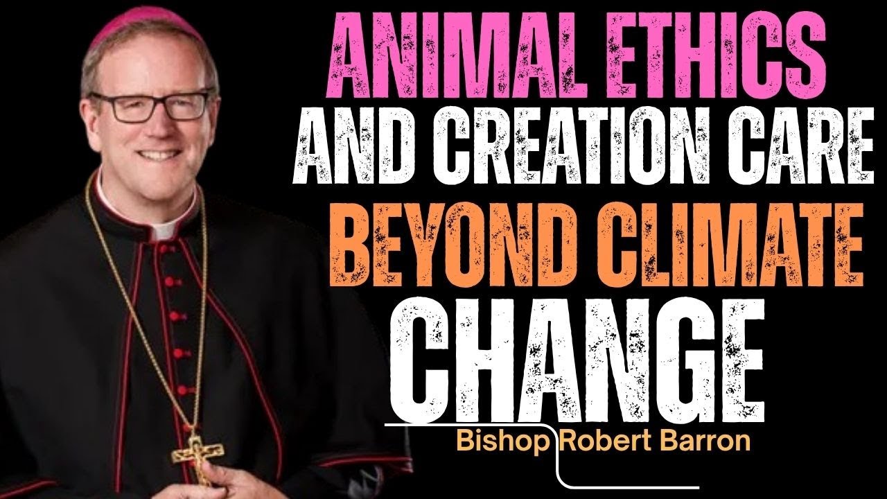 God’s Voice Through Creation: Why Caring for Animals Is Spiritual//Bishop Robert Barron