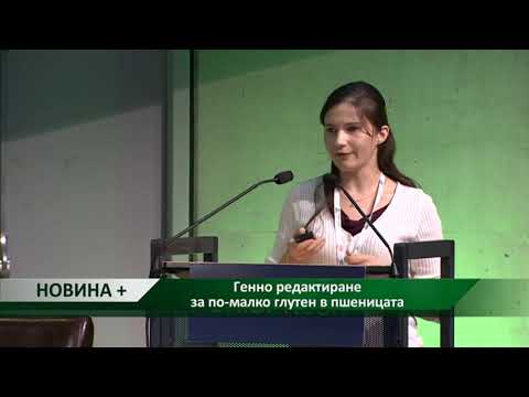 Видео: Пшеницата като артефакт на генното инженерство в далечното минало - Алтернативен изглед