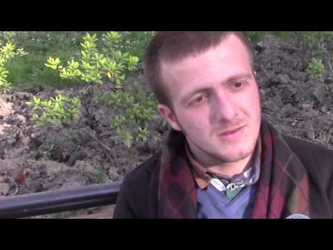 უნდა დაინიშნოს თუ არა ვადამდელი საპარლამენტო არჩევნები