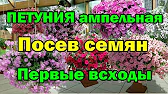 Полтавский Хуторок