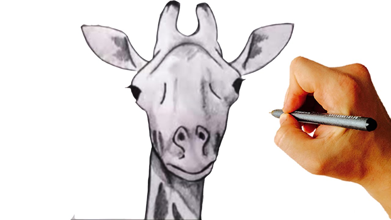 How to draw a giraffe very simple step by step drawing for kids - YouTube