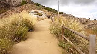 PLANTAS MEDICINALES,  Mahonia, Achicoria, Endrina, Lavanda, Olivo, Tomillo, Sedum, screenshot 5