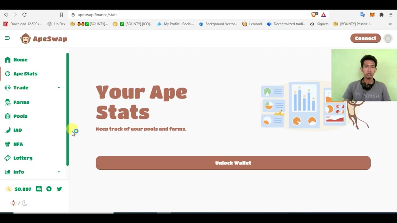 APESWAP PROJECT REVIEW PAT 1