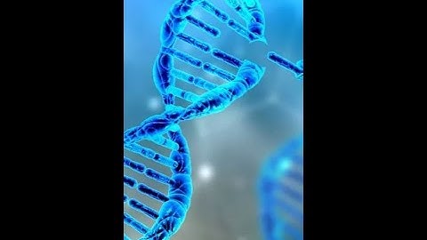 Genetic Engineering A Potential Key to Mars Colonization