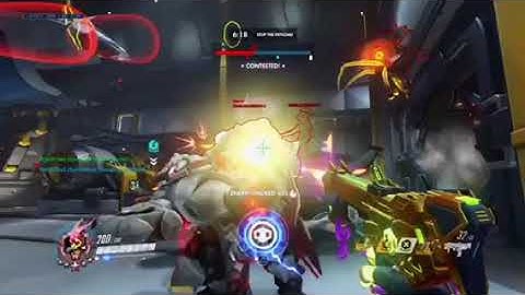 Sombra translocator bugs