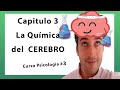 🧠 Capitulo 3 El CEREBRO: La Neurona y la QuÍmica del cerebro (Neurotransmisores y hormonas) -