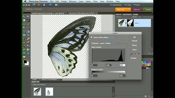 Adobe Photoshop Elements 9: Creating Fairy Wings with Layer Masks