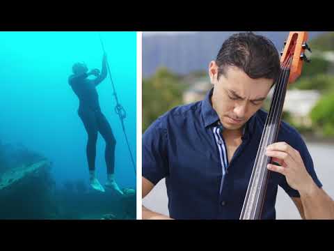 Song of the Birds - Jake Shimabukuro & Joshua Nakazawa