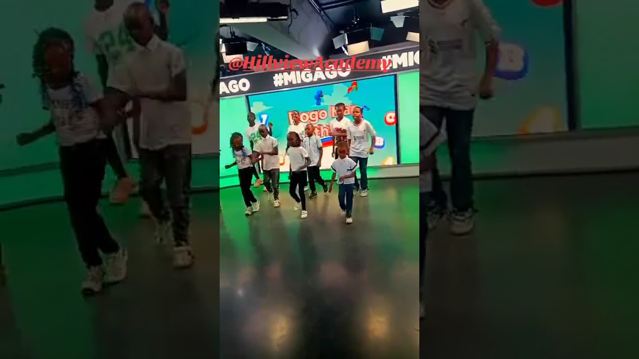 Hillview Academy at Ramogi T.v (Rogo mar nyithindo)