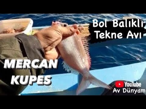 MERCAN - KUPES