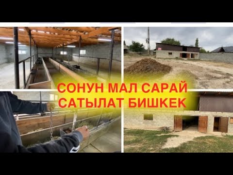 Video: Жай бышыргычта быштак суфлесин кантип бышырууга болот