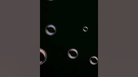 Mike Posner - Bow Chicka Wow Wow ft. Lil Wayne (Official Music Video)