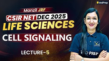 Cell Signaling Lecture 5 | Cell Signaling Complete Guide | CSIR NET Life Sciences Dec 2025