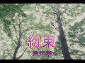 (カラオケ) 約束 / 渡辺徹