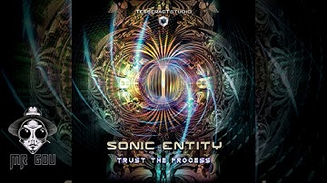 Sonic Entity - Section 9