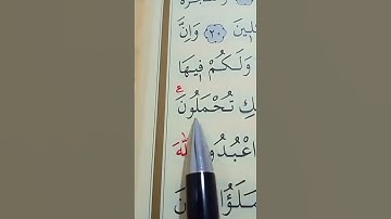 سورة المؤمنون الأية 21 إلى 23 القارئ سعد الغامدي