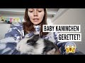 BABY KANINCHEN GERETTET!| 13.03-14.03.2018 | ✫ANKAT✫