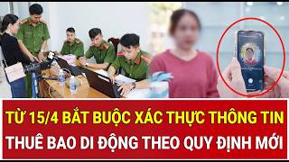 Tiền Phong TV