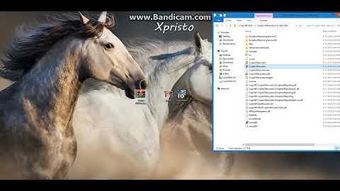 Crypto Obfuscator For  Net 2020 Build:200911  Cracked By Aguas