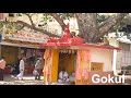 Gokul  mathura uttar pradesh  manish solanki vlogs