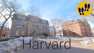 Walking Tour of Harvard University - Boston HD