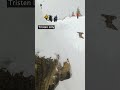 This real-life Alta couple named king and queen of Corbet's Couloir -