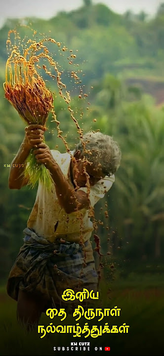 pongal whatsapp status|fullscreen pongal status #whatsappstatus #pongal #jallikattu #tamil #edit