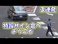 【警察24時】特設サイン会へようこそ 簡単なことが守れない違反者3連発 王子警察