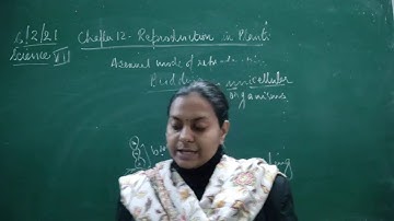 CLASS VII SCIENCE 06 02 2021 BY MS BHANUPRIYA