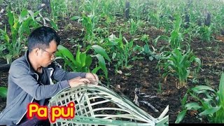 Download lagu Kan buh tuh ato tha em? ka en kual zuaih zuaih e..