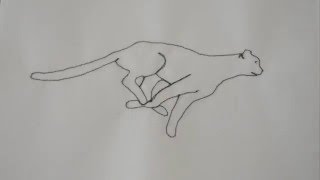 Running Cheetah - Textile Animation