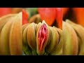 wierd orchids compilation || flowers || my flowers || plants || orchids plants