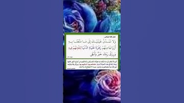 سورة طه اية(١٣١)