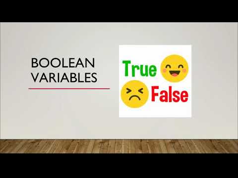 Boolean Variables