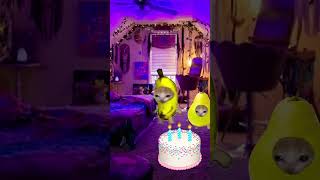 Happy Birthday Banana Cat #Bananacat #Animation #Birthday #2Danimation #Funny #Meme #Food