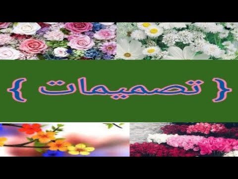 اسكندريه المحروسه